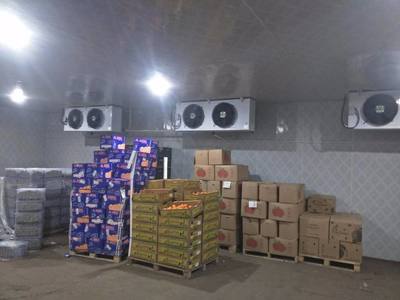 成都保鮮冷藏庫安裝與價格指南 從建設到倉儲全面解析